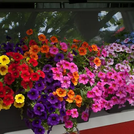 לינה וארוחת בוקר Bbnaon *