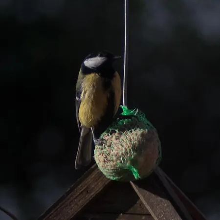 לינה וארוחת בוקר Bbnaon