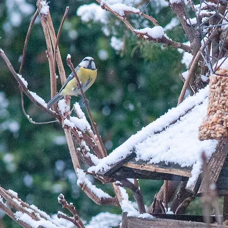 Bbnaon לינה וארוחת בוקר *